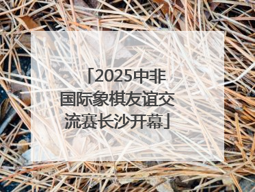 2025中非国际象棋友谊交流赛长沙开幕