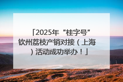 2025年“桂字号”钦州荔枝产销对接（上海）活动成功举办！