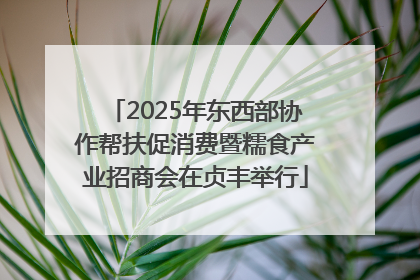 2025年东西部协作帮扶促消费暨糯食产业招商会在贞丰举行