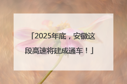 2025年底，安徽这段高速将建成通车！