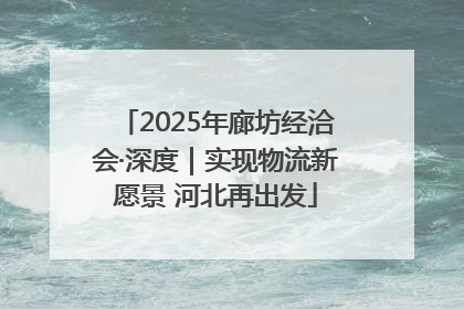 2025年廊坊经洽会·深度｜实现物流新愿景 河北再出发
