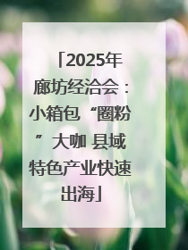 2025年廊坊经洽会：小箱包“圈粉”大咖 县域特色产业快速出海