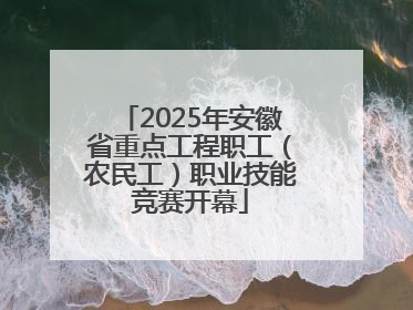2025年安徽省重点工程职工（农民工）职业技能竞赛开幕