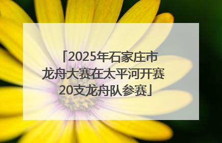 2025年石家庄市龙舟大赛在太平河开赛 20支龙舟队参赛