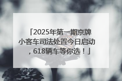 2025年第一期京牌小客车司法处置今日启动，618辆车等你选！