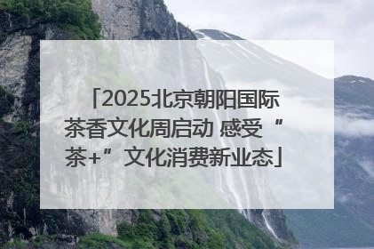 2025北京朝阳国际茶香文化周启动 感受“茶+”文化消费新业态