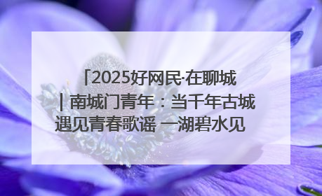 2025好网民·在聊城｜南城门青年：当千年古城遇见青春歌谣 一湖碧水见证的“聊城式浪漫”