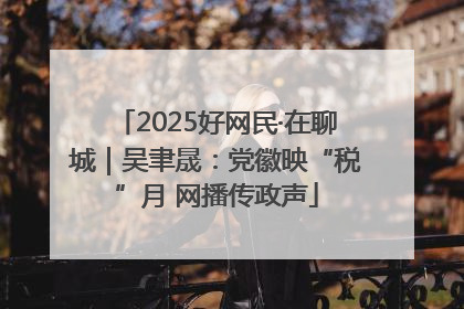 2025好网民·在聊城｜吴聿晟：党徽映“税”月 网播传政声