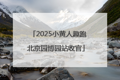 2025小黄人趣跑北京园博园站收官