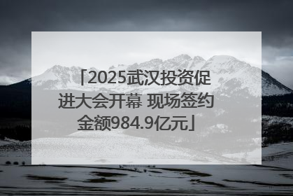 2025武汉投资促进大会开幕 现场签约金额984.9亿元