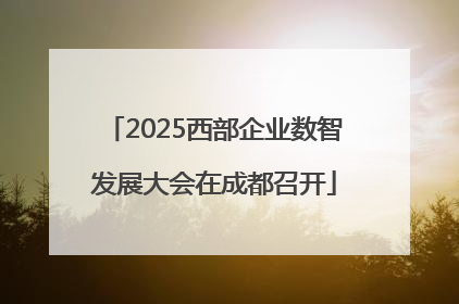 2025西部企业数智发展大会在成都召开