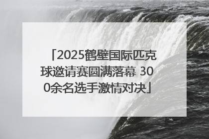 2025鹤壁国际匹克球邀请赛圆满落幕 300余名选手激情对决