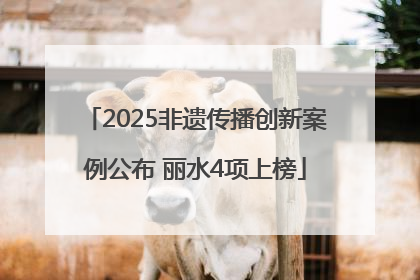 2025非遗传播创新案例公布 丽水4项上榜