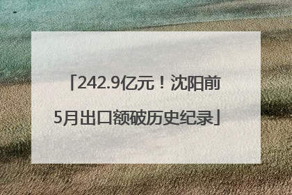 242.9亿元！沈阳前5月出口额破历史纪录