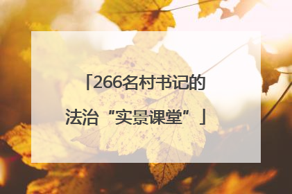 266名村书记的法治“实景课堂”