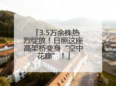 3.5万余株热烈绽放！日照这座高架桥变身“空中花廊”！
