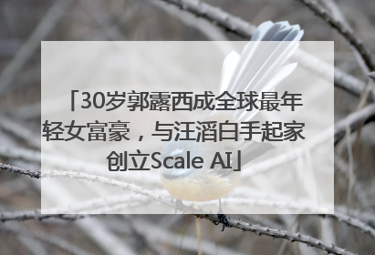 30岁郭露西成全球最年轻女富豪，与汪滔白手起家创立Scale AI