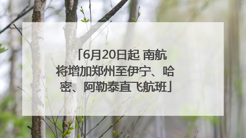 6月20日起 南航将增加郑州至伊宁、哈密、阿勒泰直飞航班