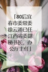 80后宜春市委常委徐云涌已任江西省委副秘书长、办公厅主任