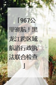 967公里巡航！黑龙江跨区域航道行政执法联合检查
