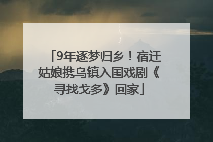 9年逐梦归乡！宿迁姑娘携乌镇入围戏剧《寻找戈多》回家