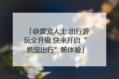 @爱宠人士 出行游玩全升级 快来开启“携宠出行”新体验