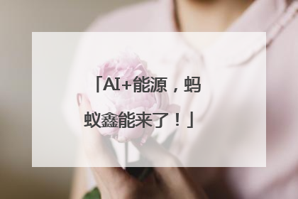 AI+能源，蚂蚁鑫能来了！