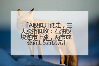 A股低开低走，三大股指低收：石油板块逆市上涨，两市成交近1.5万亿元