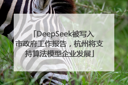 DeepSeek被写入市政府工作报告，杭州将支持算法模型企业发展