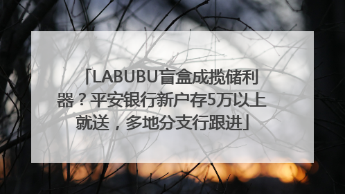 LABUBU盲盒成揽储利器？平安银行新户存5万以上就送，多地分支行跟进