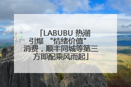 LABUBU 热潮引爆 “情绪价值” 消费，顺丰同城等第三方即配乘风而起