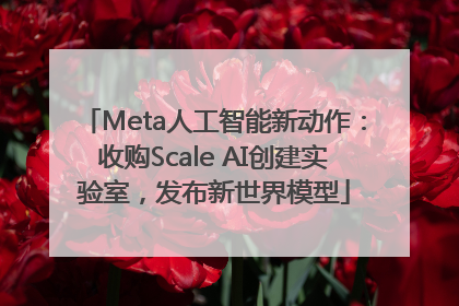 Meta人工智能新动作：收购Scale AI创建实验室，发布新世界模型